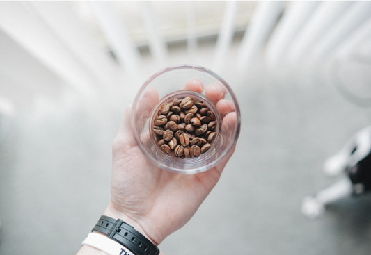 Mastering the Art of Brewing: Adjusting Your Brew to Your Coffee Roast Level